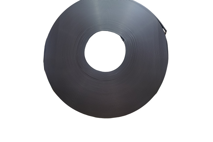 sealed magnetic strip